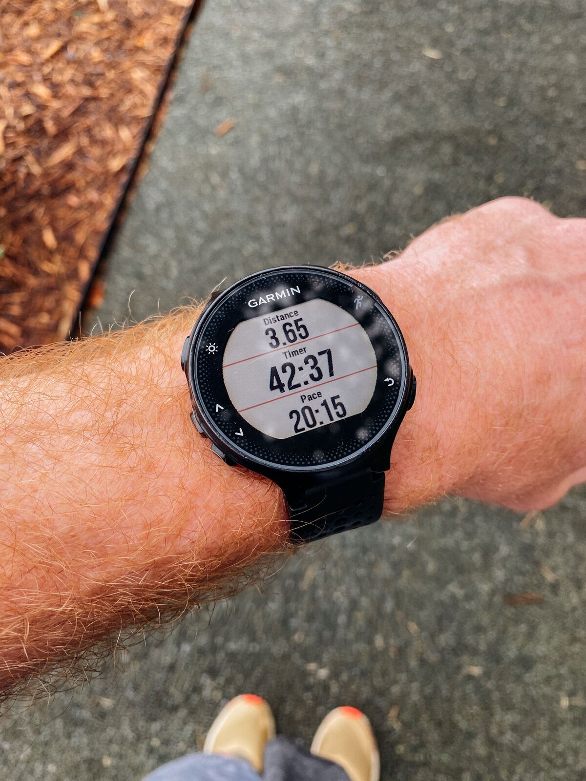 Garmin Forerunner 970